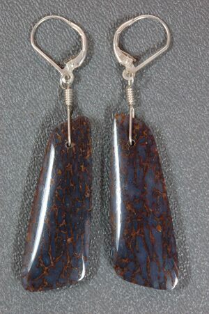 Gorgeous Agatized Dinosaur Bone Earrings #4278